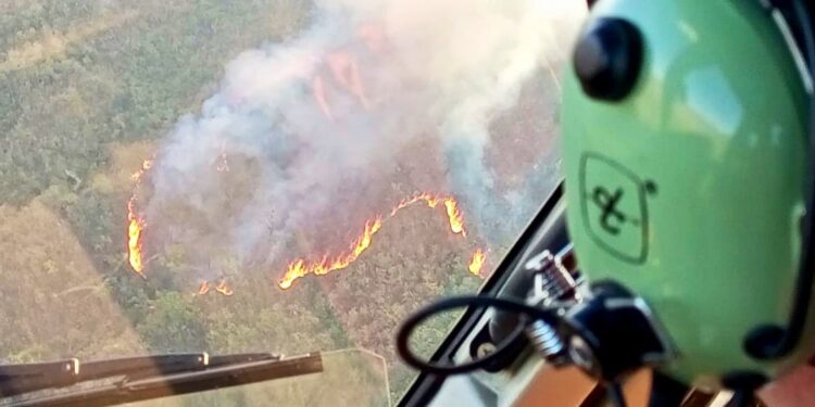 Incendio en el Parque Nacional Henri Pittier, ocurrido en enero de 2024