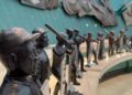Foto Prensa Museo de Beisbol y Salón de la Fama