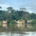 Cortesía Gobernación de Amazonas