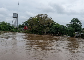 La Patilla