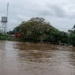 La Patilla