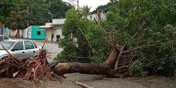 Foto vía lapatilla.com